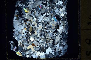 Cross Polarized, S35418