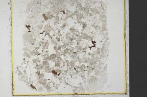 Plane Polarized, S35418