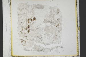 Plane Polarized, S35419