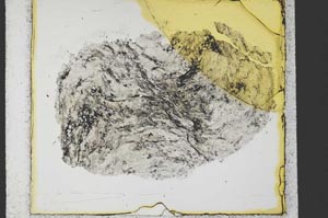 Plane Polarized, S35422