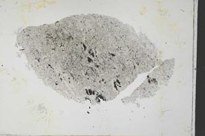 Plane Polarized, S35424