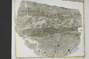Plane Polarized, S35435