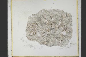 Plane Polarized, S35445