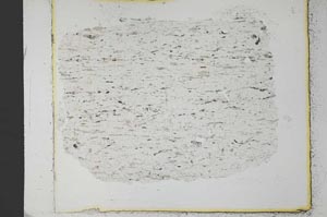 Plane Polarized, S35481