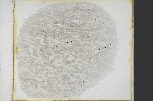 Plane Polarized, S35487