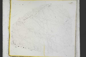 Plane Polarized, S35511