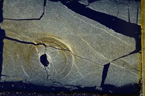 Cross Polarized, S35512