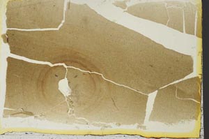 Plane Polarized, S35512