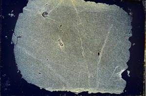 Cross Polarized, S35512/A