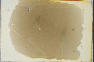 Plane Polarized, S35512/A