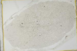 Plane Polarized, S35522