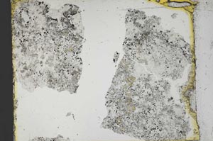 Plane Polarized, S35541