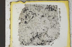 Plane Polarized, S35542