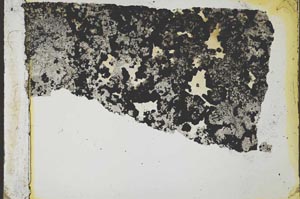 Plane Polarized, S35548