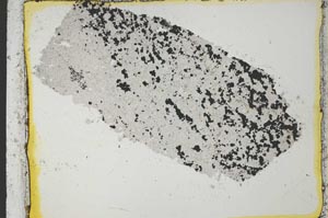 Plane Polarized, S35549