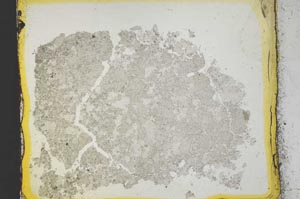 Plane Polarized, S35550/B2