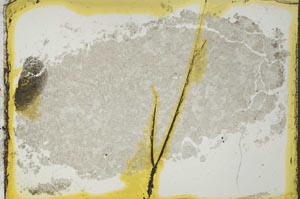 Plane Polarized, S35551