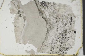 Plane Polarized, S35561
