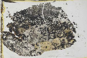 Plane Polarized, S35562