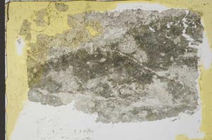 Plane Polarized, S35567