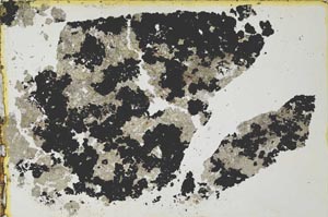 Plane Polarized, S35571