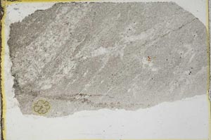 Plane Polarized, S35579