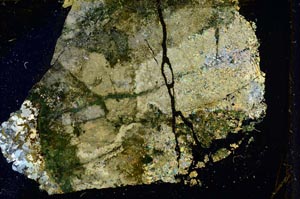 Cross Polarized, S35582