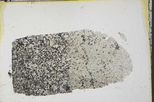 Plane Polarized, S35591