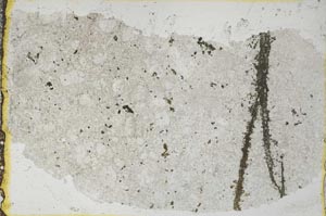Plane Polarized, S35595