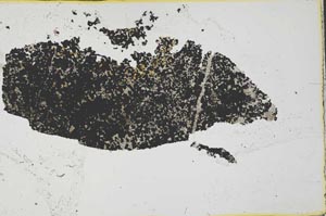 Plane Polarized, S35598