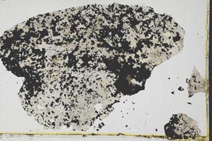 Plane Polarized, S35606