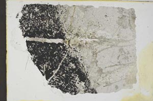 Plane Polarized, S35612
