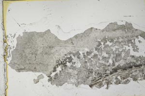Plane Polarized, S35618