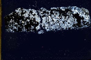 Cross Polarized, S35628