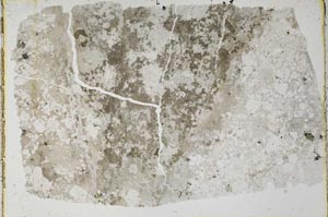 Plane Polarized, S35633