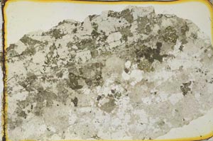 Plane Polarized, S35638