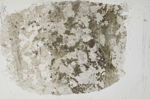 Plane Polarized, S35642