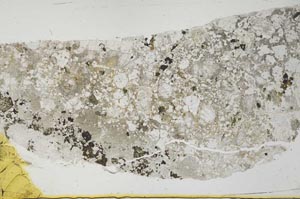 Plane Polarized, S35645