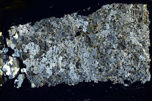 Cross Polarized, S35701