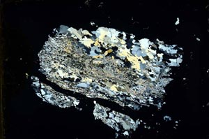 Cross Polarized, S35701/A