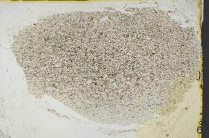 Plane Polarized, S35703