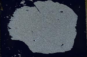 Cross Polarized, S35714