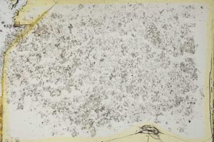 Plane Polarized, S35717