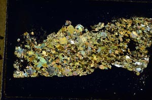 Cross Polarized, S35719