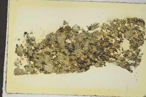 Plane Polarized, S35719