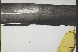 Plane Polarized, S35756