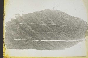 Plane Polarized, S35760