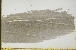 Plane Polarized, S35761