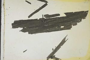 Plane Polarized, S35762