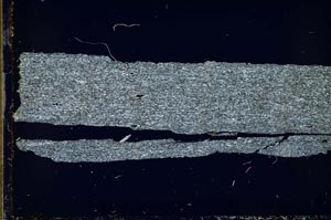 Cross Polarized, S35763
